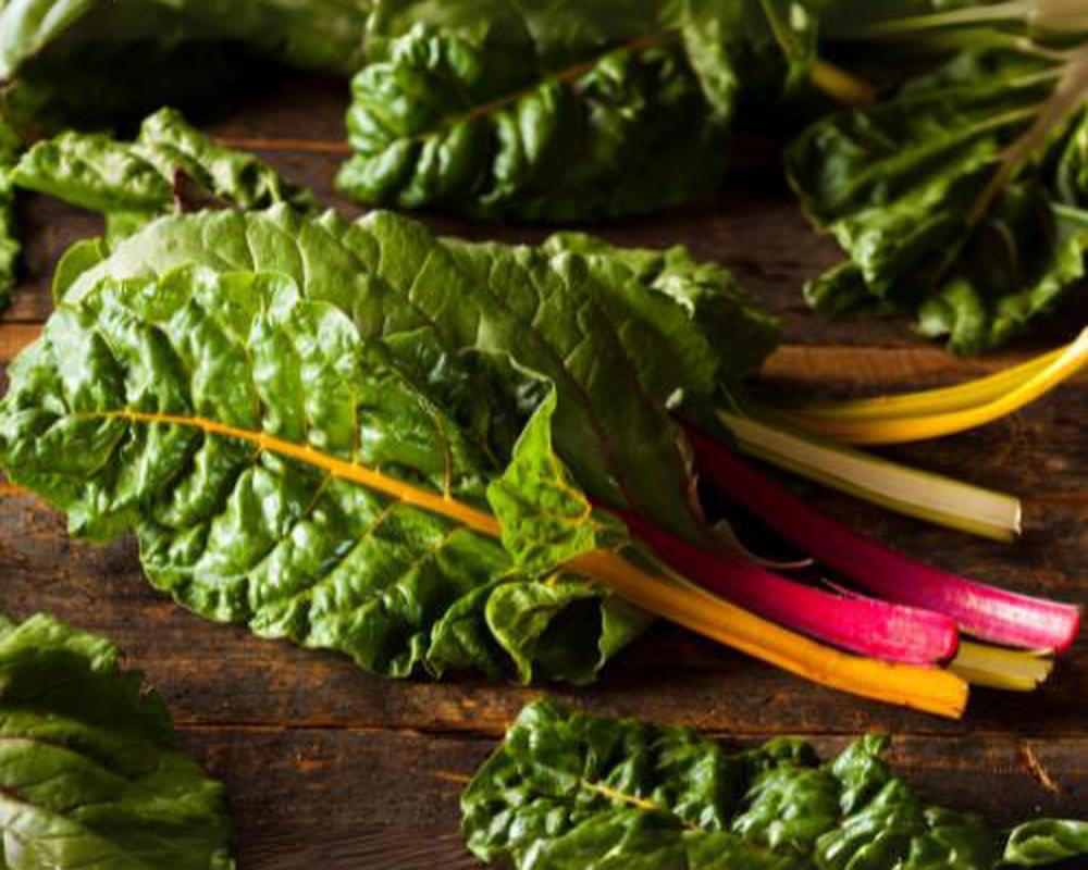 Rainbow Chard