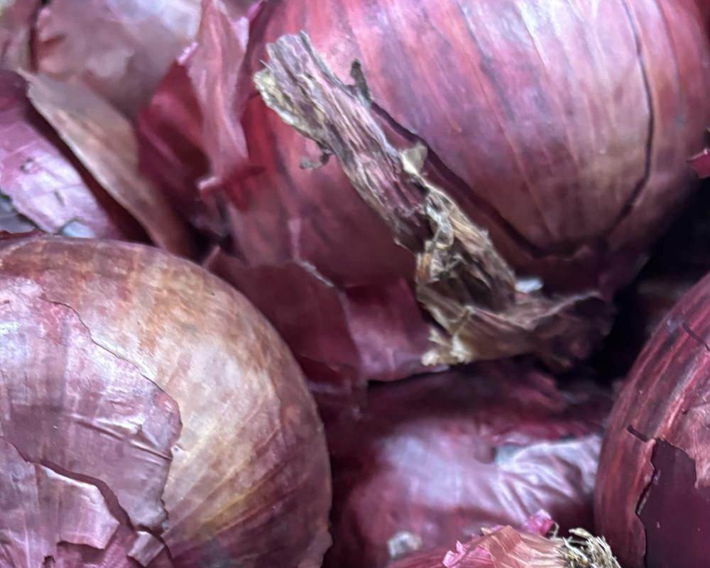 Onion Red