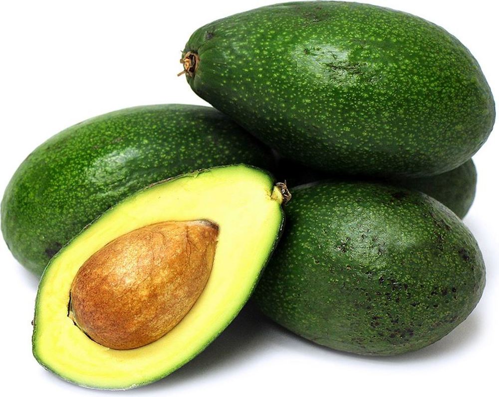 Avocado Organic
