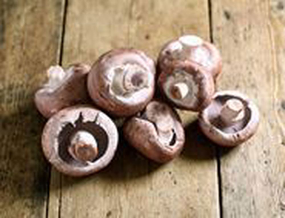 Mushrooms - British Organic Chestnut