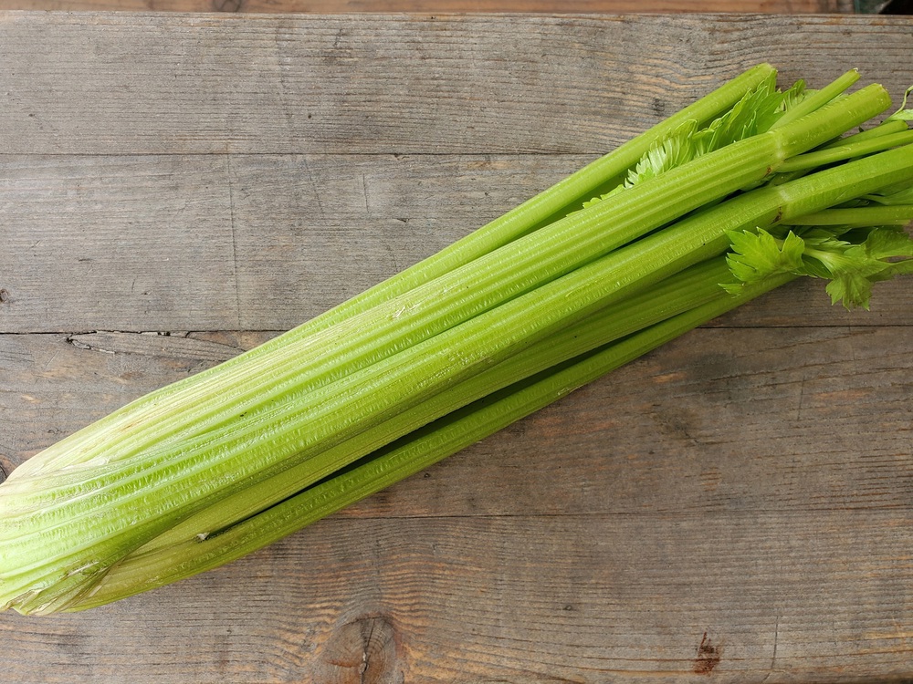 Celery