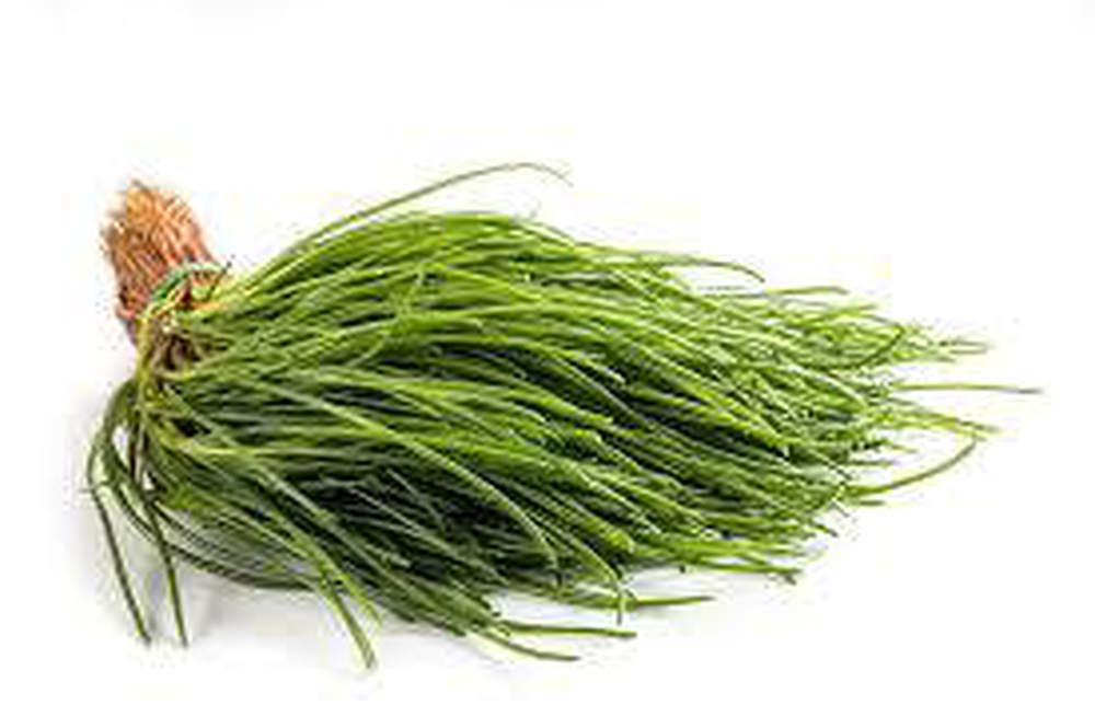 Agretti (monk's beard)