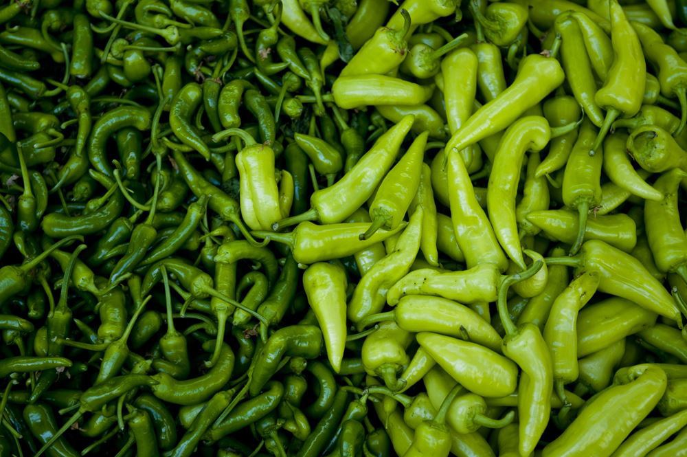 Chillies Green (50g)