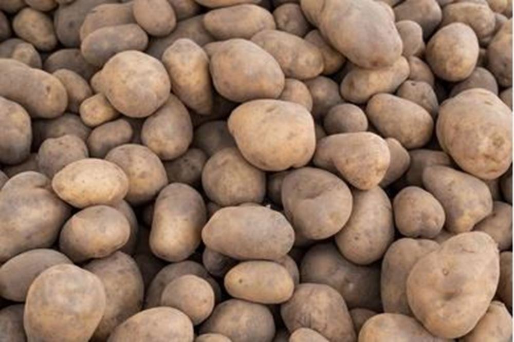 Potatoes (600g)