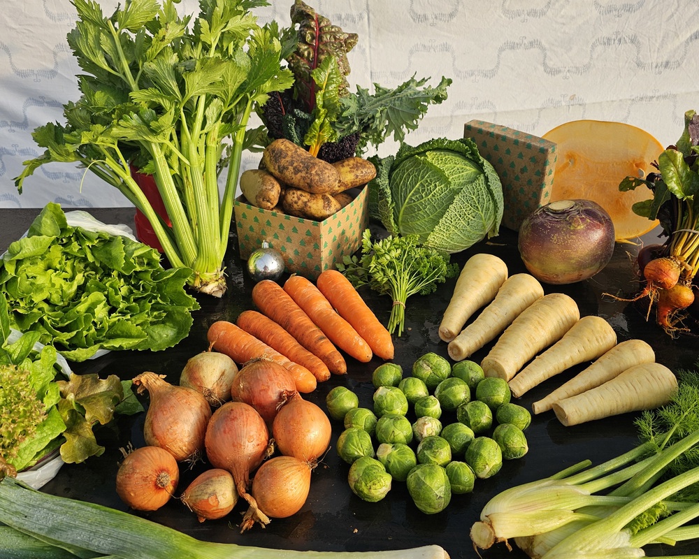Organic Christmas veg box - Large (18 items)