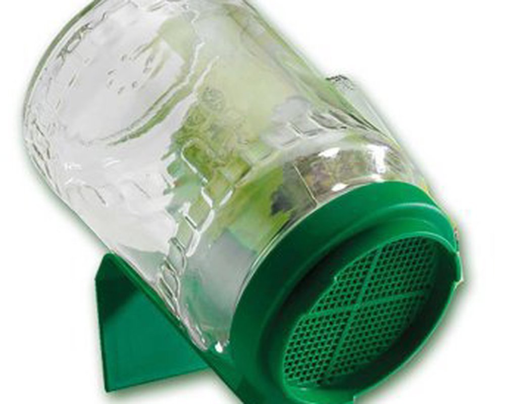 Biosnacky Germinator Jar