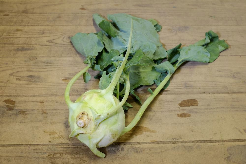 Kohl Rabi - Green