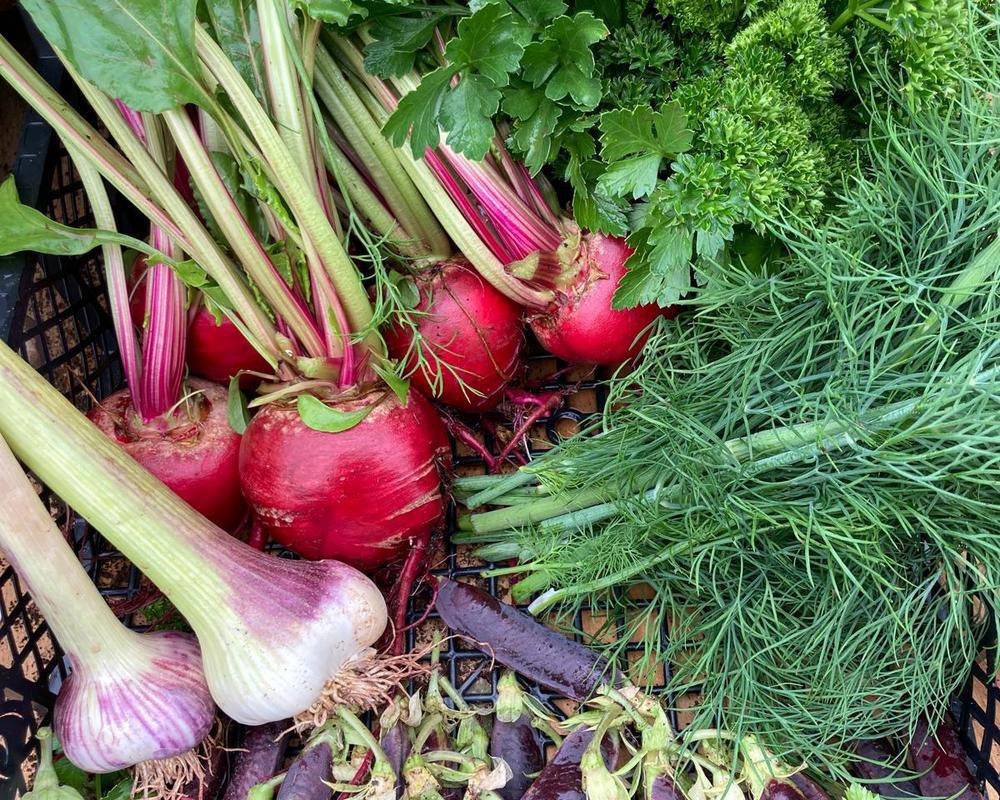 Small Veg Box