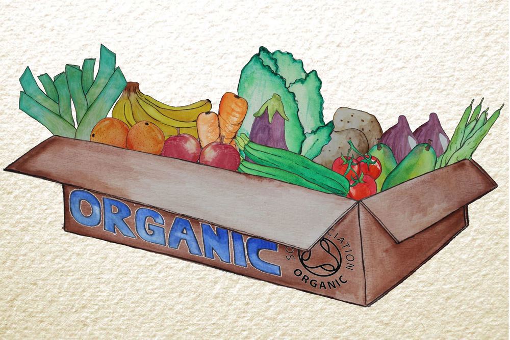 Large Organic Mixed Box