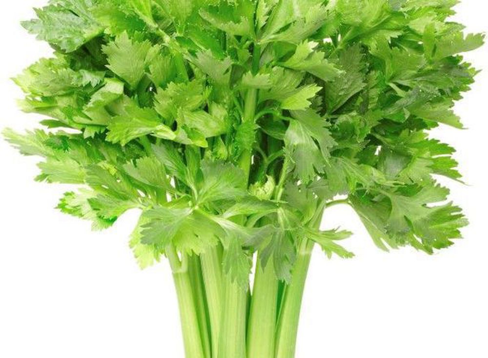 Celery (BUNCH)