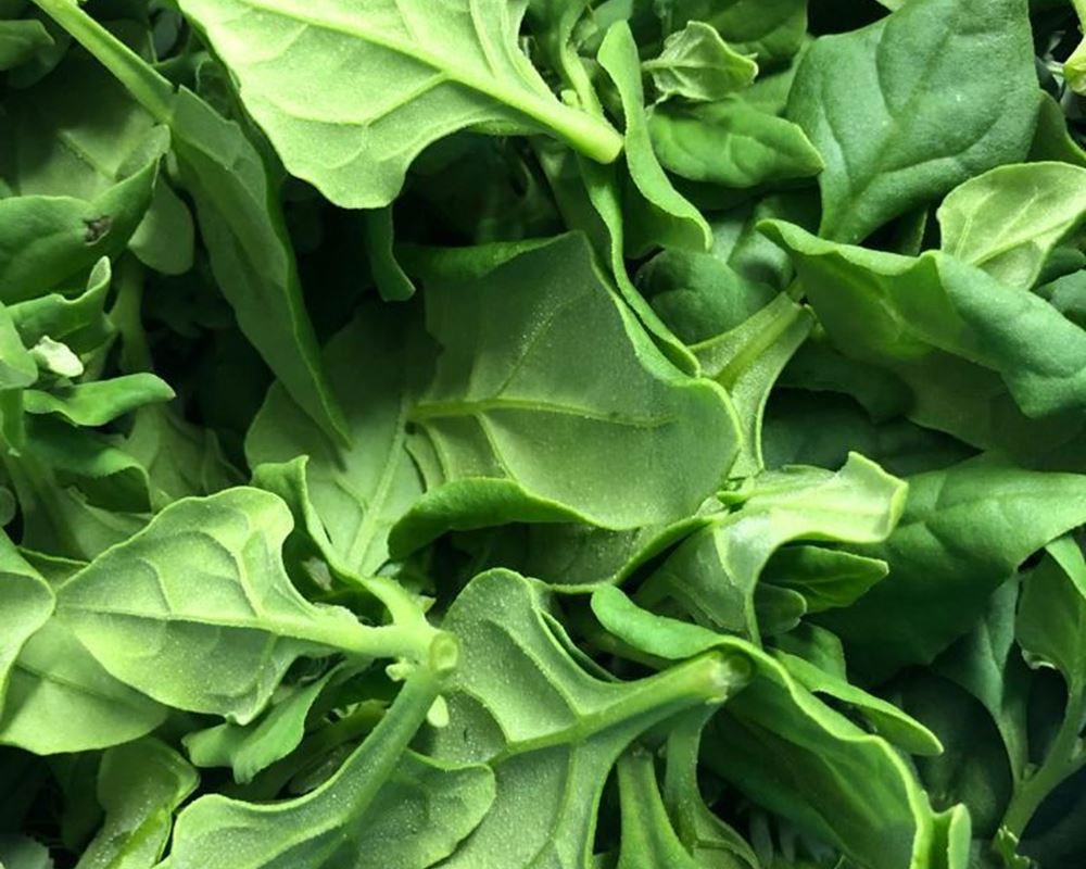 New Zealand Spinach 200g