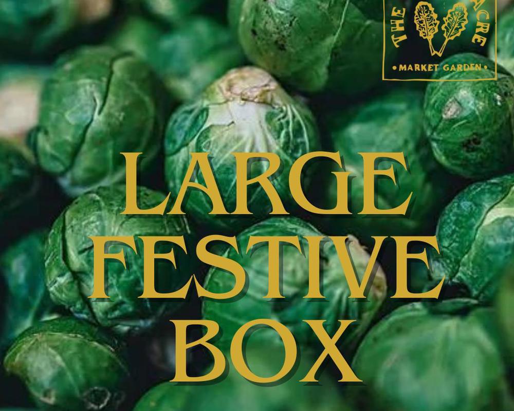 Large Festive Box