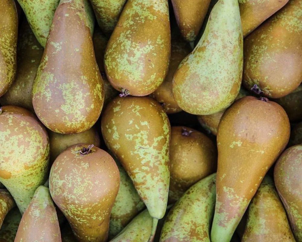 Pears (500g)