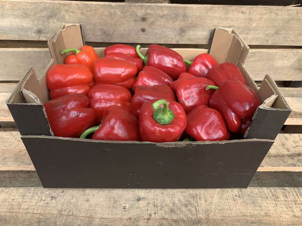 Organic Pepper Red