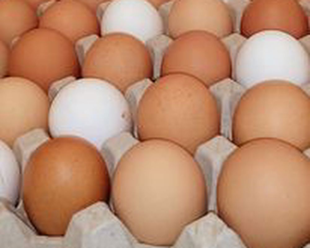 Eggs 6 mixed size