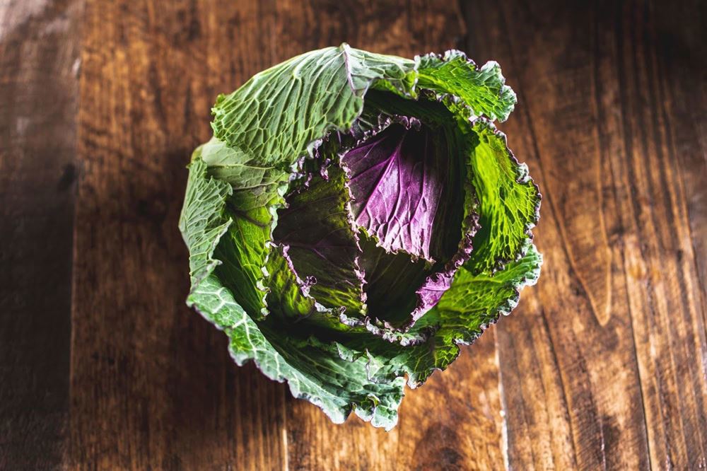 Cabbage - January King Organic UK