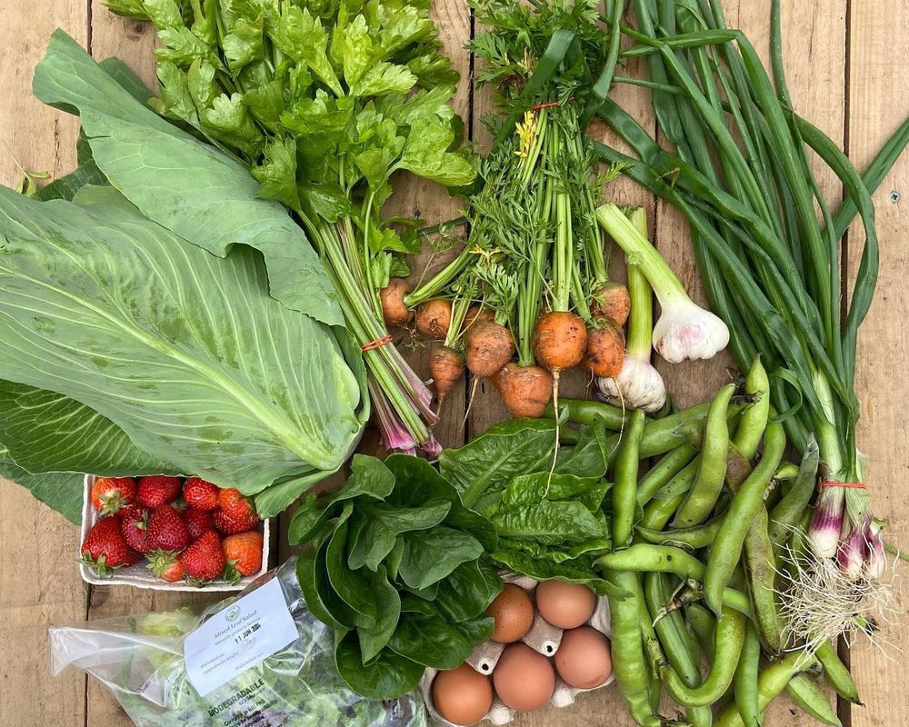 Large veg box