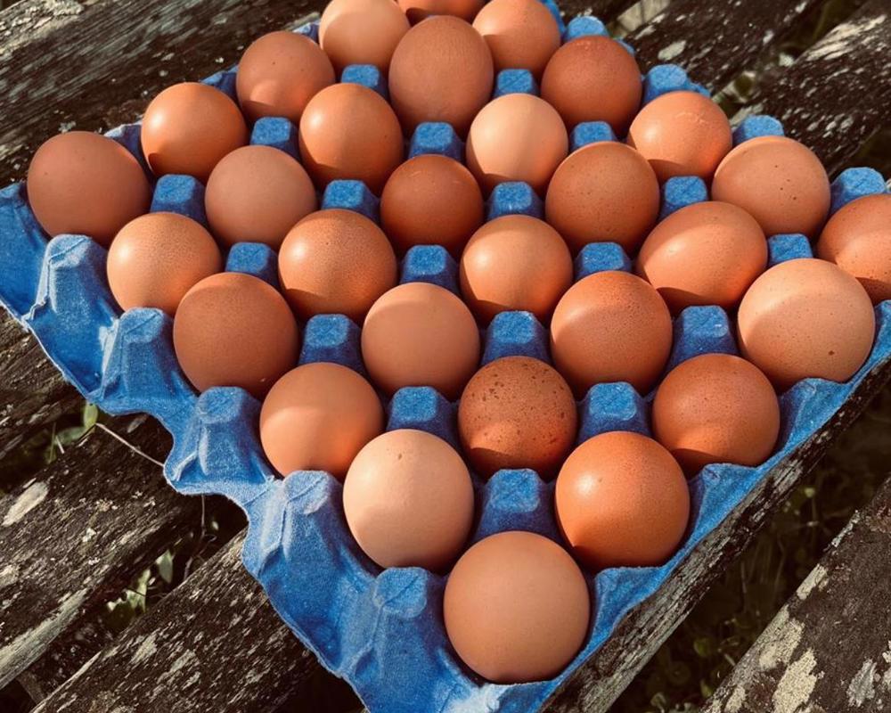 Henbant Eggs Tray (30)