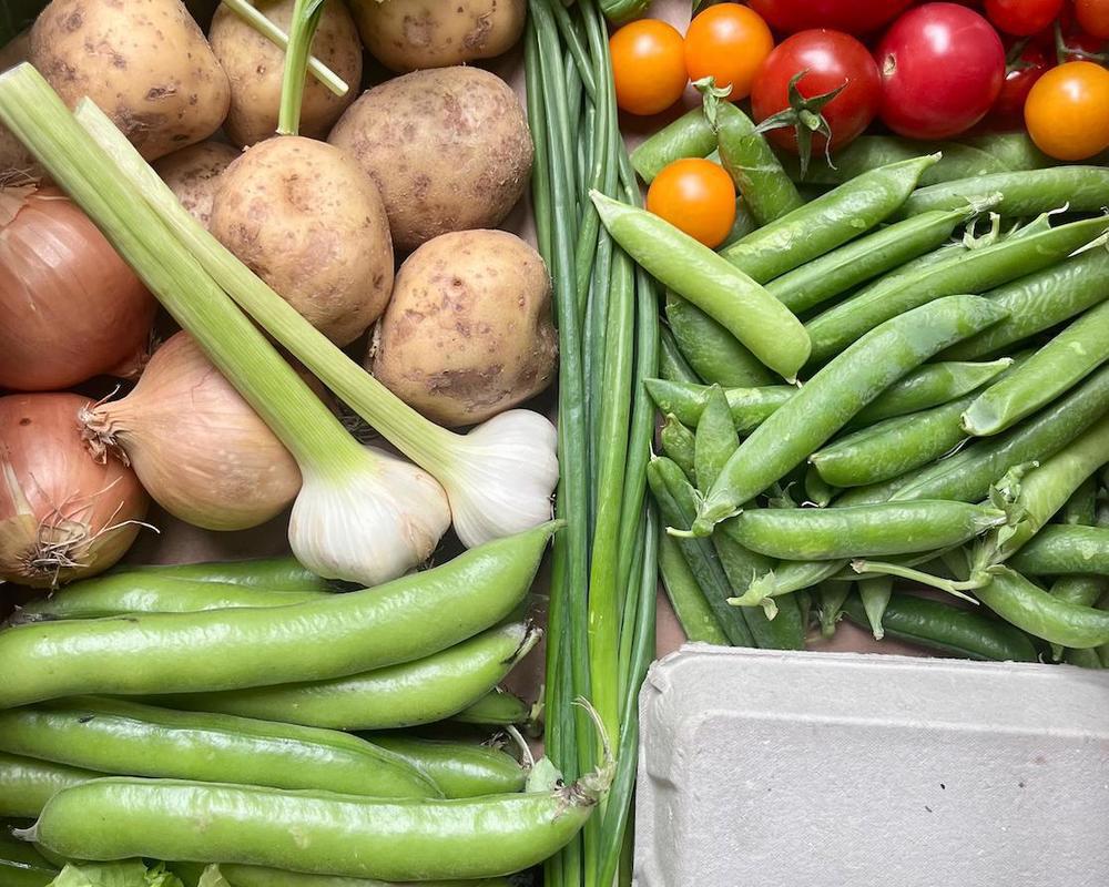 Medium Veg Box