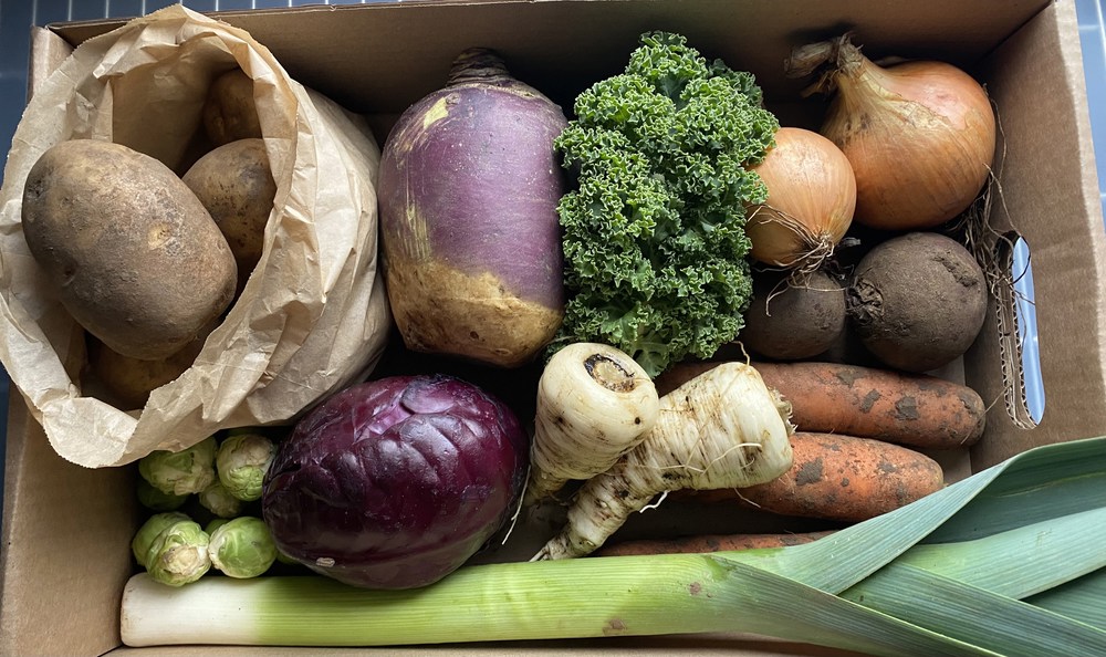 Small Seasonal Veg Box