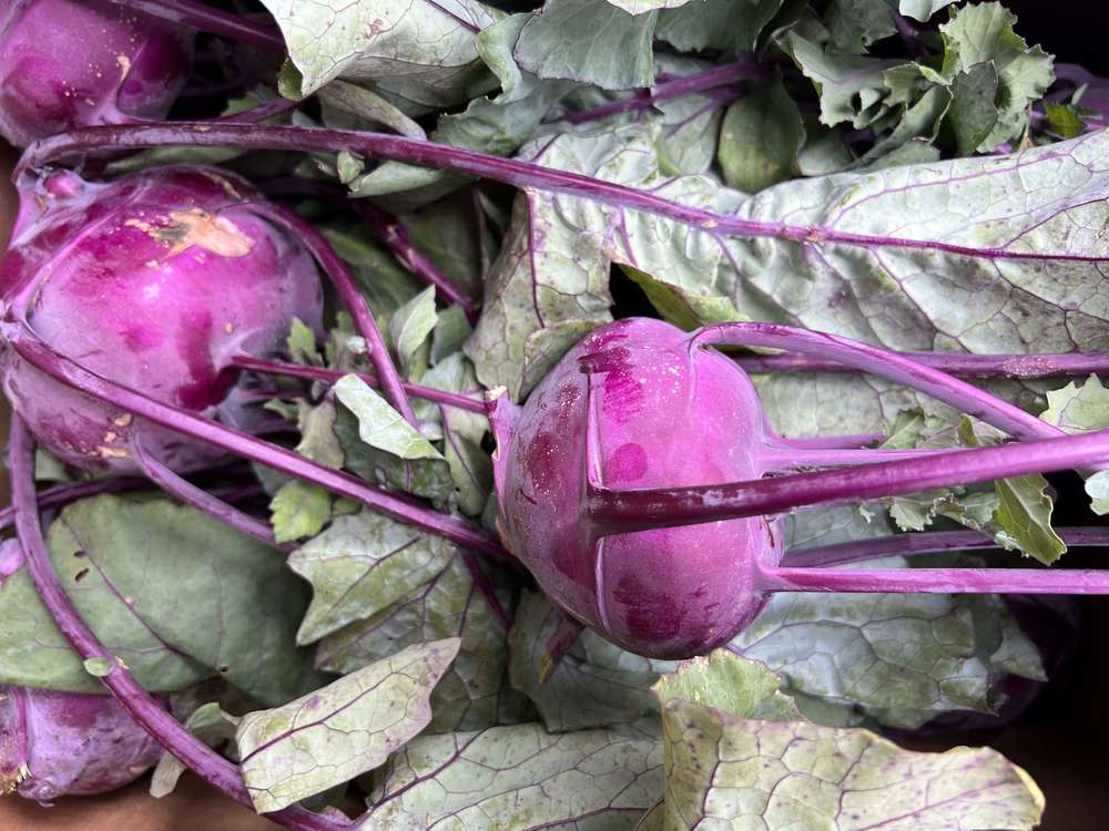 Kohlrabi - Red - Organic - with tops