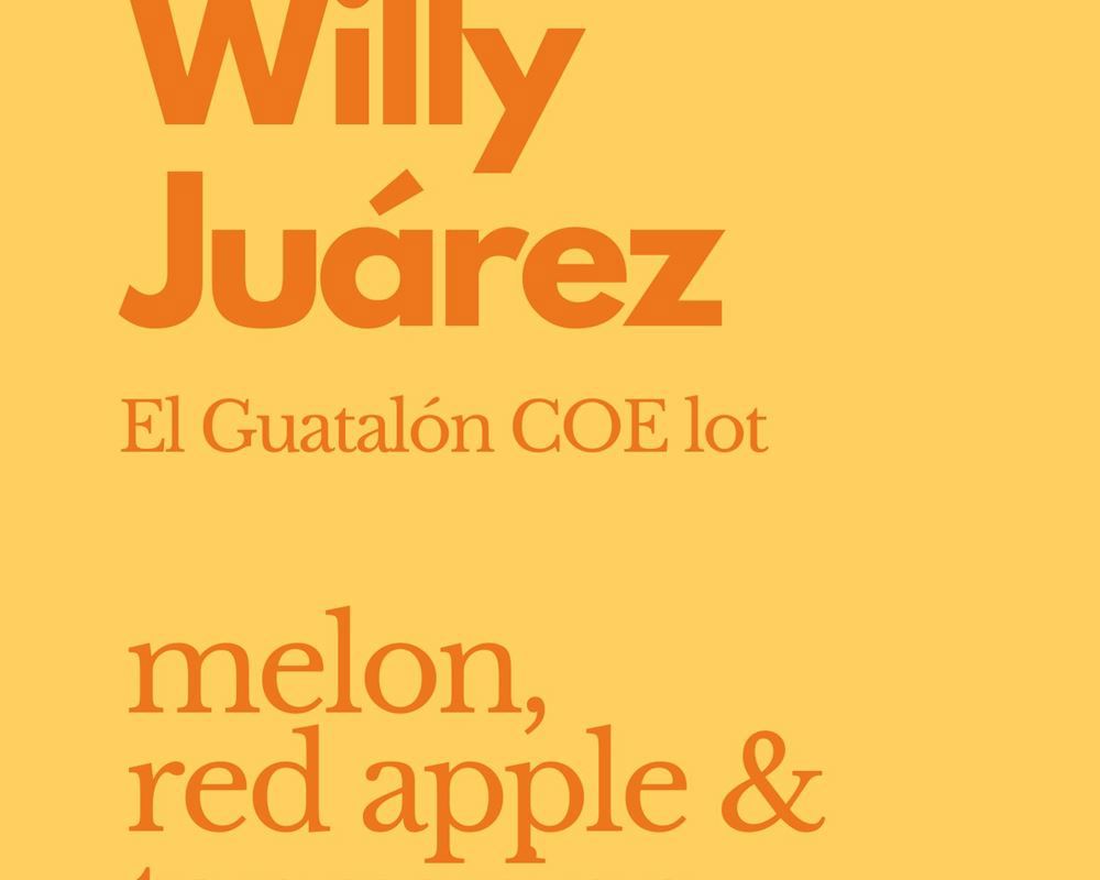 Coffee: Willy Juarez - (Aeropress Grind) 250g - NP