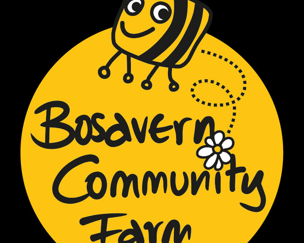 Honey, 227g, Bosavern Community Farm