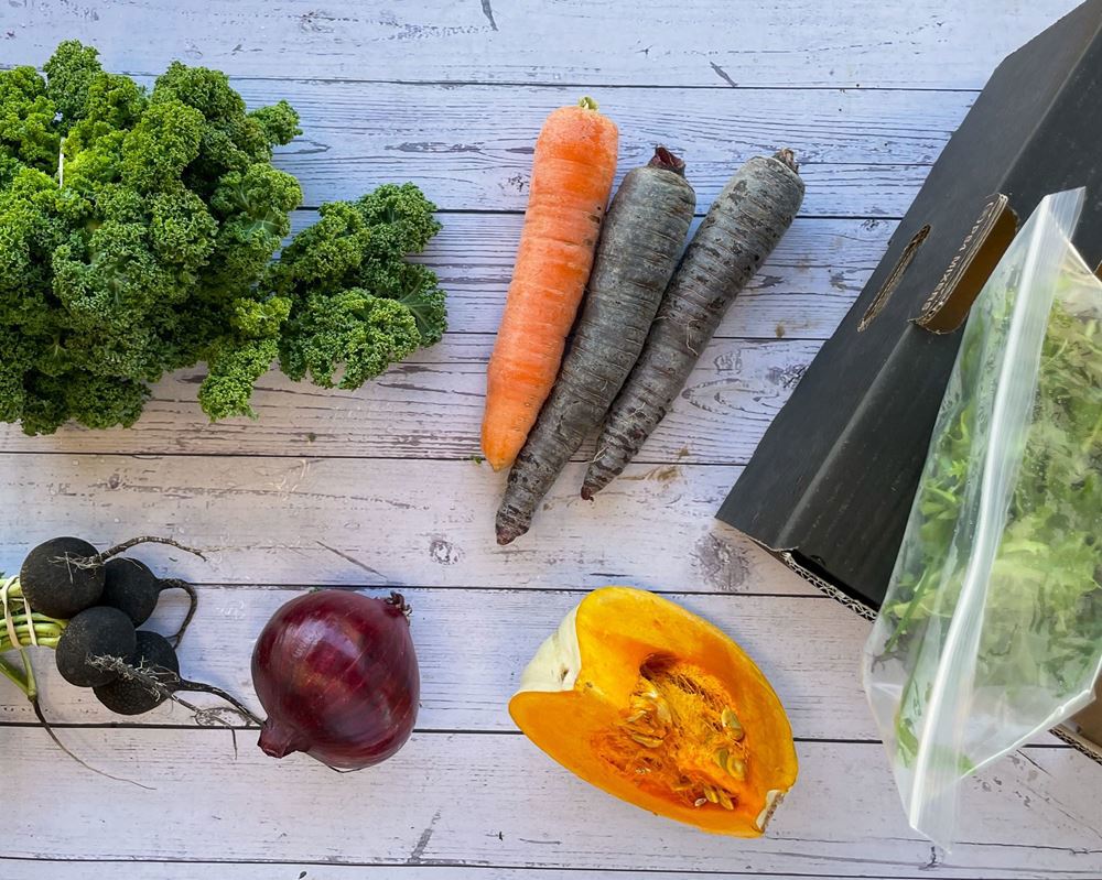 Low income subsidised CSA Food Boxes