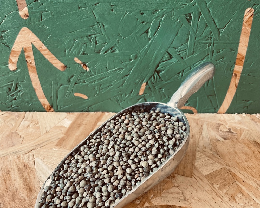 French Lentils - organic