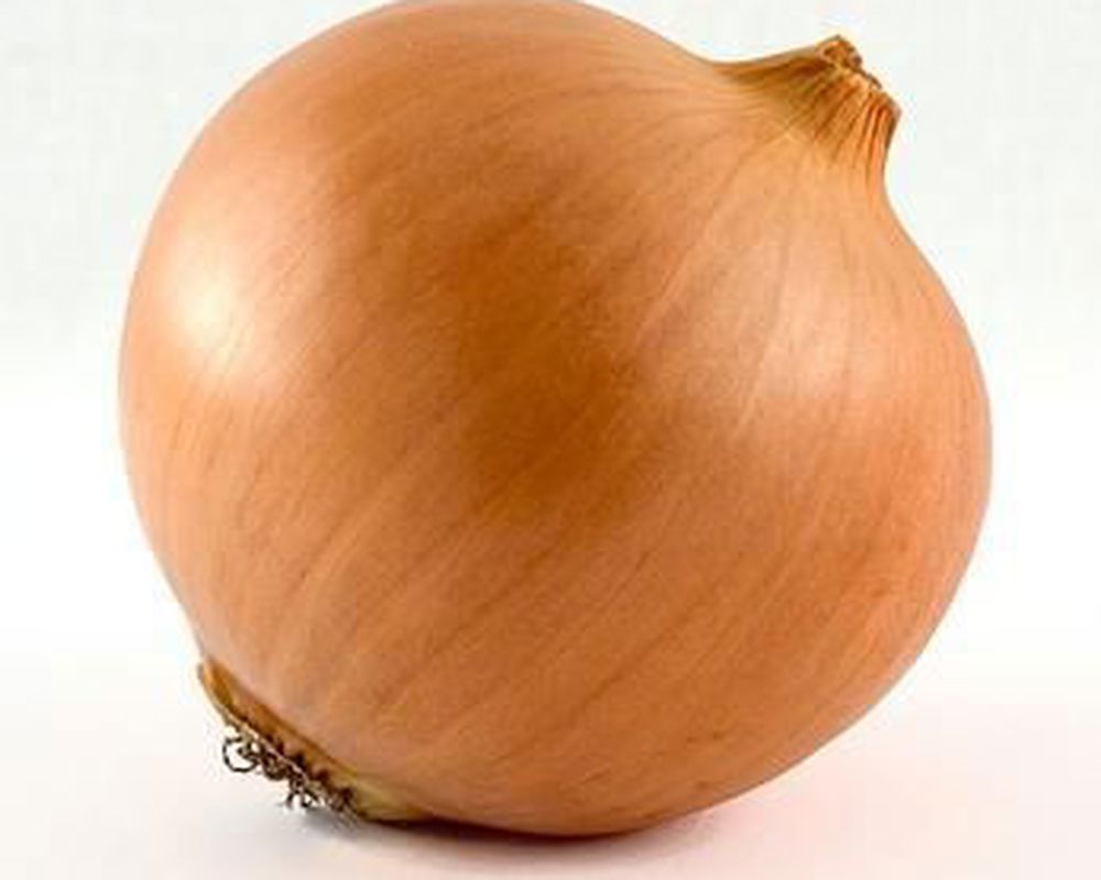 Onion: Yellow