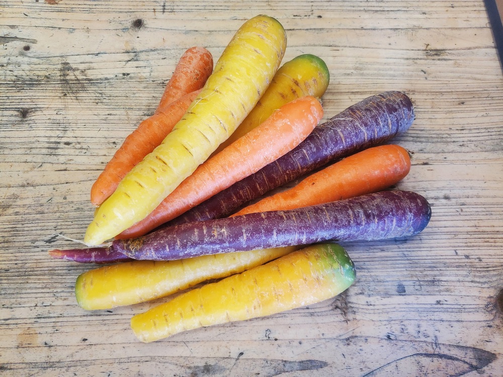 Carrots - rainbow