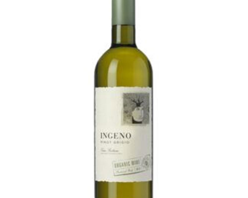 (Ingeno) White Wine - Pinot Grigio
