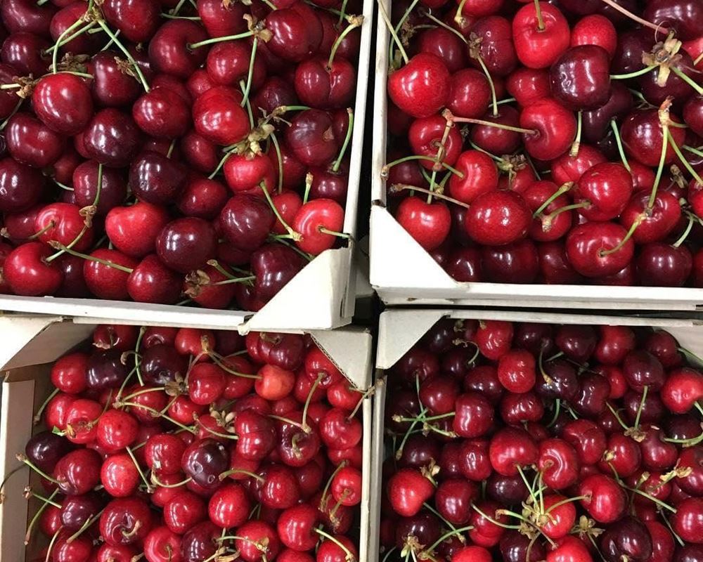 Cherries UK
