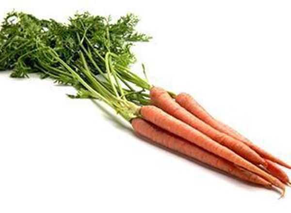 w/s vCarrots - 5kg - Wholesale