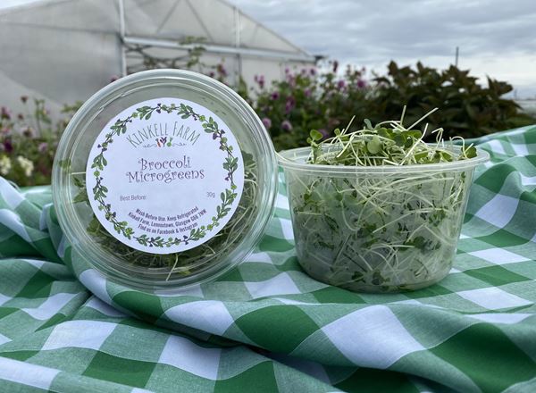 Broccoli Microgreens