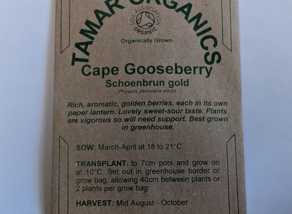 (Seeds) Cape Gooseberry - Schoenbrun Gold