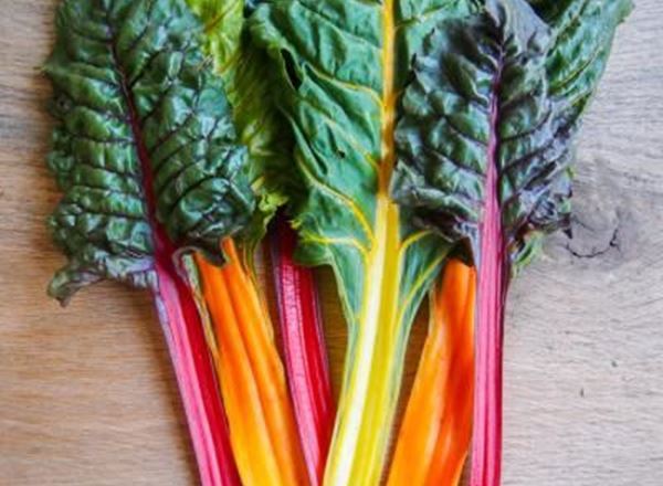 Chard - Rainbow 250g