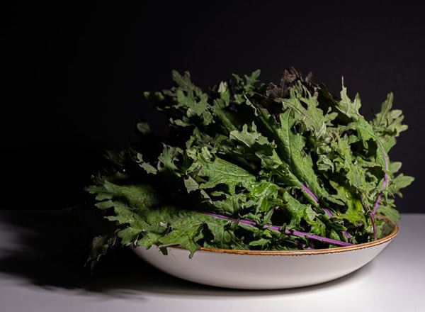 Red Russian Kale
