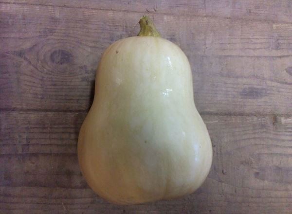 Squash - Butternut