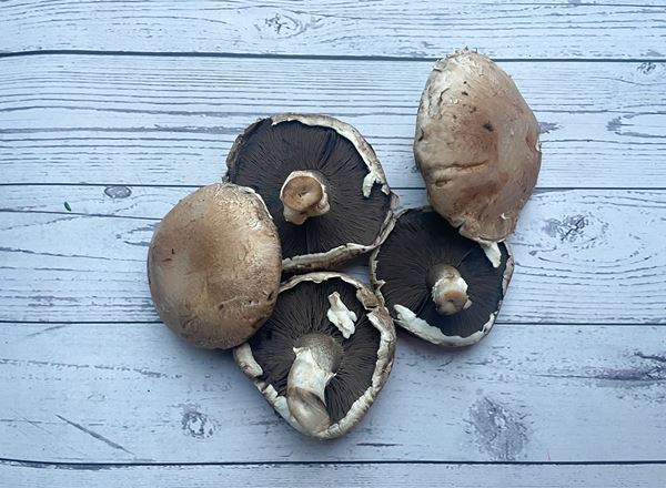 Mushrooms Portobello