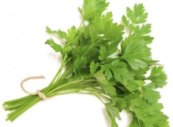 Parsley - Fresh Leaf