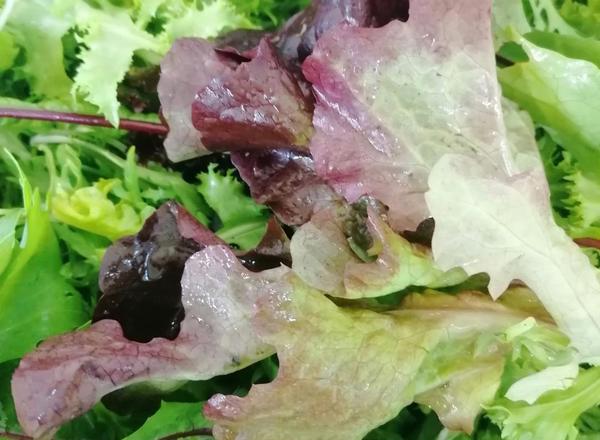 Mixed salad
