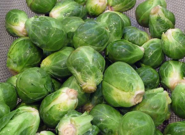 Brussel sprouts