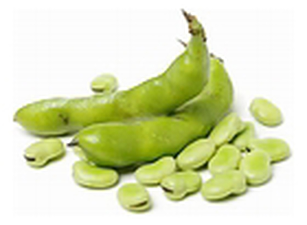 Broad Beans 🇬🇧