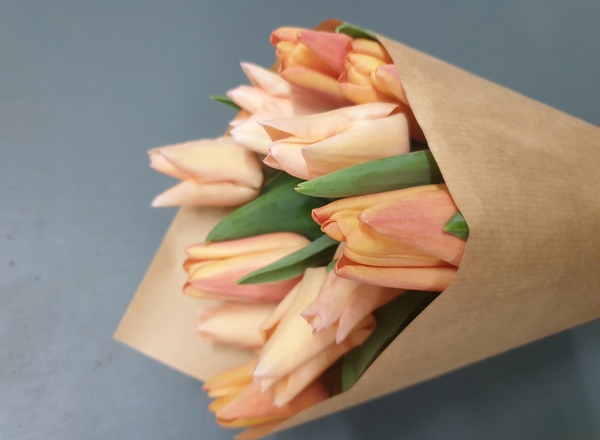 Tulip Wrap Large