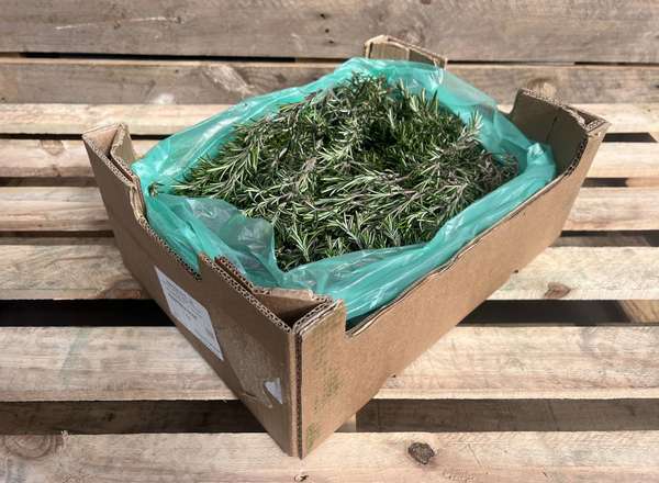 Organic Rosemary Loose
