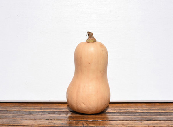 Organic Butternut Squash 1