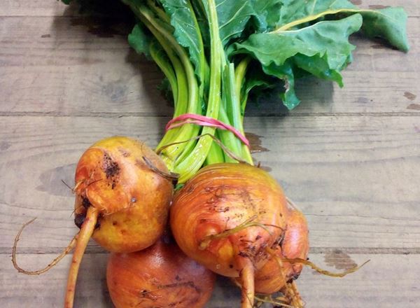 Beetroot Golden - Bunch