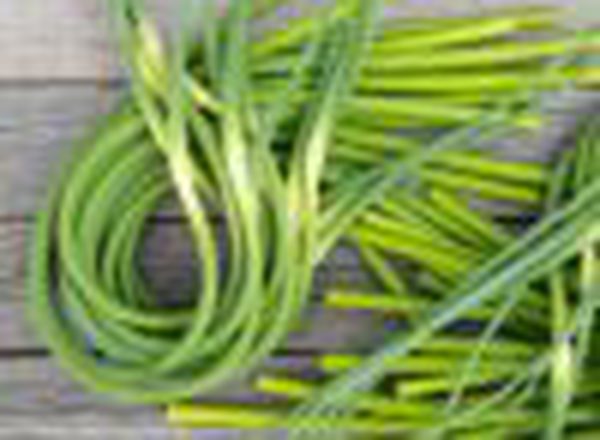 Garlic Scapes