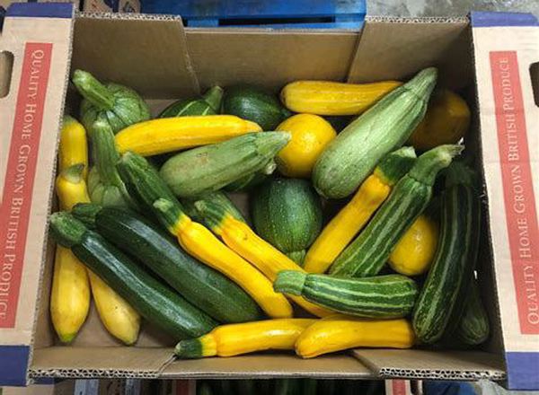 Courgettes - British Organic  (Mixed)